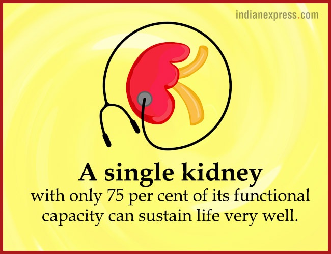 World Kidney Day, interesting facts about kidneys, World Kidney Day theme, World Kidney Day 2018 theme, World Kidney Day Women health, World Kidney Day date, World Kidney Day March 8, World Kidney Day theme for 2017, 2016, indian express, indian express news