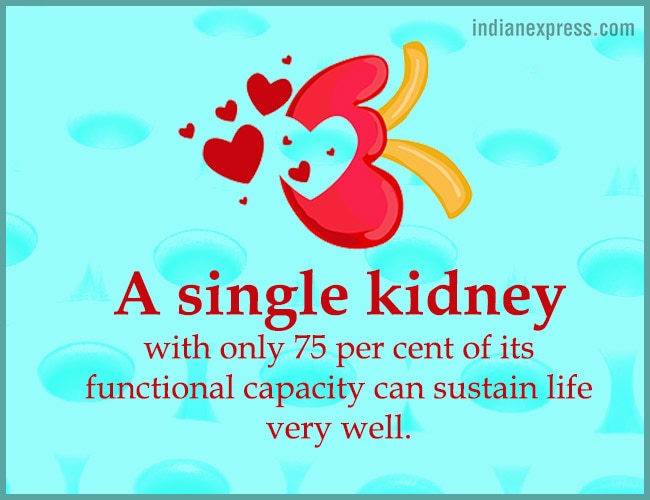World Kidney Day, interesting facts about kidneys, World Kidney Day theme, World Kidney Day 2018 theme, World Kidney Day Women health, World Kidney Day date, World Kidney Day March 8, World Kidney Day theme for 2017, 2016, indian express, indian express news