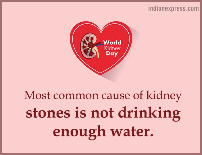 World Kidney Day, interesting facts about kidneys, World Kidney Day theme, World Kidney Day 2018 theme, World Kidney Day Women health, World Kidney Day date, World Kidney Day March 8, World Kidney Day theme for 2017, 2016, indian express, indian express news