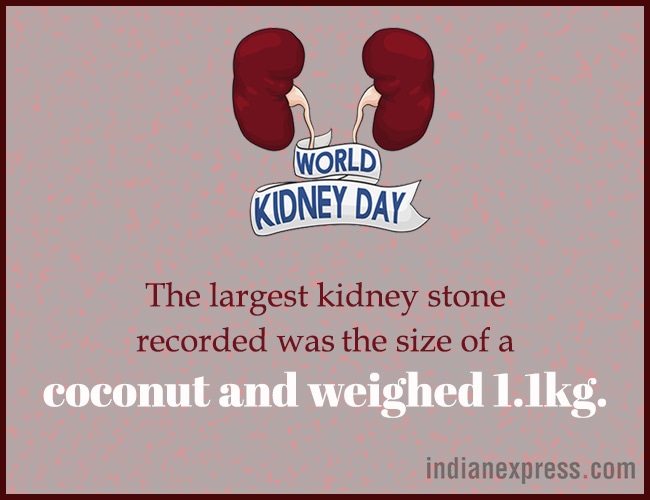 World Kidney Day, interesting facts about kidneys, World Kidney Day theme, World Kidney Day 2018 theme, World Kidney Day Women health, World Kidney Day date, World Kidney Day March 8, World Kidney Day theme for 2017, 2016, indian express, indian express news
