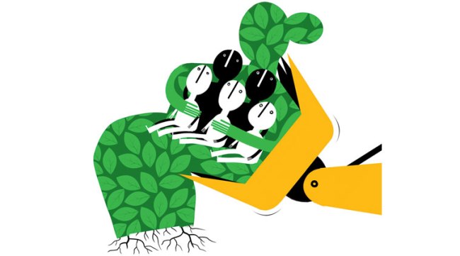 (Illustration: C R Sasikumar)