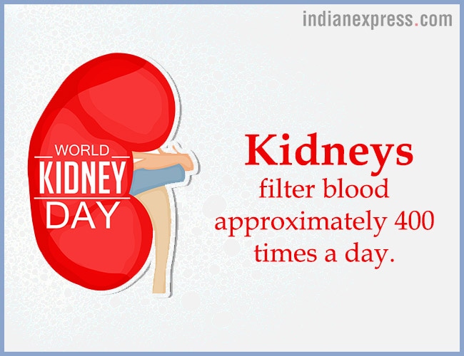 World Kidney Day, interesting facts about kidneys, World Kidney Day theme, World Kidney Day 2018 theme, World Kidney Day Women health, World Kidney Day date, World Kidney Day March 8, World Kidney Day theme for 2017, 2016, indian express, indian express news