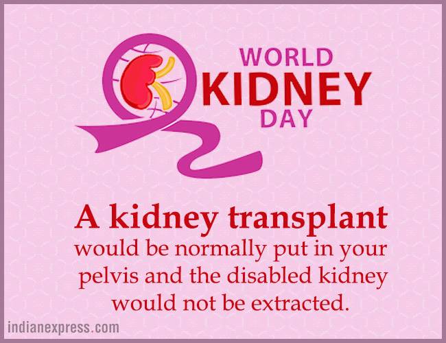 World Kidney Day, interesting facts about kidneys, World Kidney Day theme, World Kidney Day 2018 theme, World Kidney Day Women health, World Kidney Day date, World Kidney Day March 8, World Kidney Day theme for 2017, 2016, indian express, indian express news