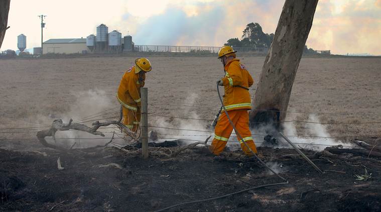 Australian Wildfires Raze Dozens Of Homes Kill Livestock World News