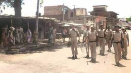 Bihar cattle theft, Bihar killing, Bihar man beaten to death, Saran cattle theft, Cattle theft incident, Bihar police, India news, Bihar news, Indian express news