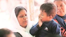 Chandigarh Accident, Chandigarh Car Accident, Chandigarh Fortuner riders, Car Accident Chandigarh, Chandigarh News, Latest Chandigarh News, Indian Express, Indian Express News