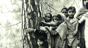 Three environmental agitations inspired by the Chipko movement