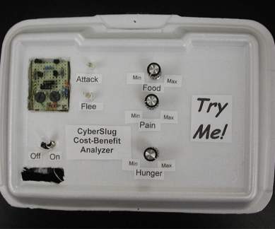 Artificial intelligence, sea slug, University of Illinois, cyberslug, slug nervous system, sea slug brain, predatory stimulus, decision-making algorithms, virtual creature