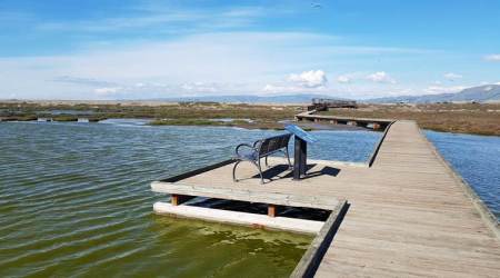 The Don Edwards San Francisco Bay National Wildlife Refuge is the largest among the six wildlife refuges in the Bay Area. (Source: Divya A)