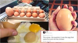 egg within an egg, australia egg in an egg, stockman farmer egg in egg, weird egg stories, weird food stories, weird cooking stories, indian express, trending news, social media viral stories, egg inside egg pic