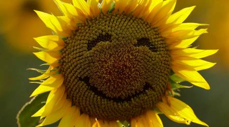 happiest countries to live in across the world