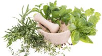 herbal-main CIMAP lucknow, Covid 19 disease, herbal products, Pune news, indian express news