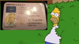 Homer Simpson driving licence_TW_759 Homer Simpson driving id, Homer Simpson driving licence, motorist hands over Homer Simpson driving id