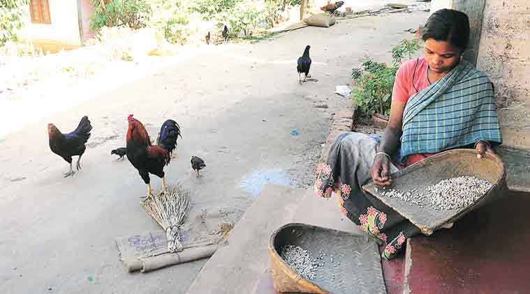 The Starving Tribals Of Kerala's Attappady: A Shocking Case Of Government  Apathy