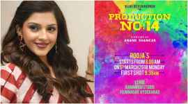 Mehreen Pirzada and Vijay Devarkonda film