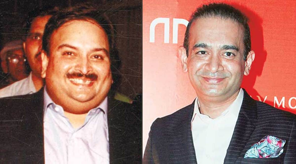 mehul choksi, nirav modi, pnb fraud, passport, punjab national bank, antigua, money laundering, india news, indian express