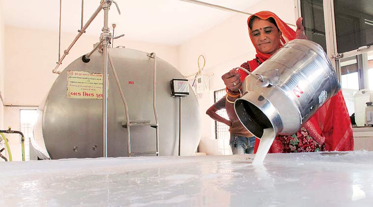 Gcmmf Hires Five Plants In Rajasthan Maharashtra To Tackle Excess Milk