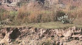 mohali illegal mining, chandigarh illegal mining, mohali dfsc, mullanpur illegal mining, mullapur village, illegal mining