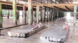 BMC starts work on Deonar Abattoir revamp