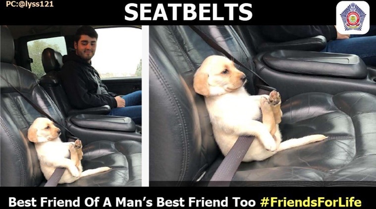 Seatbelt meme clearance