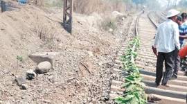 Rail tracks bend due to heat, leaves used to cool them down