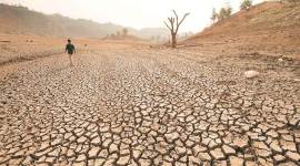 Narmada, Narmada water, Narmada Water Disputes Tribunal,  Sardar Sarovar Narmada Nigam Ltd, Gujarat Government, IBPT, Indian express