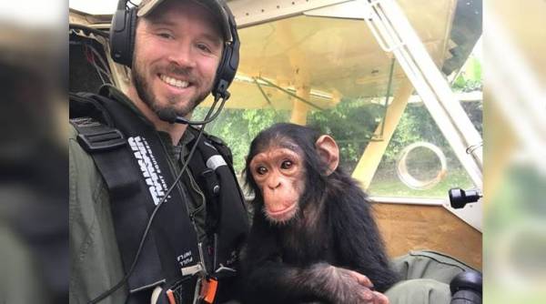 cute animal videos, animal rescue videos, chimpanzee rescue videos, Lwiro Primates, viral hot pilot video, indian express, animal videos