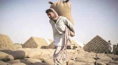 Dissecting Punjab’s latest foodgrain transportation policy
