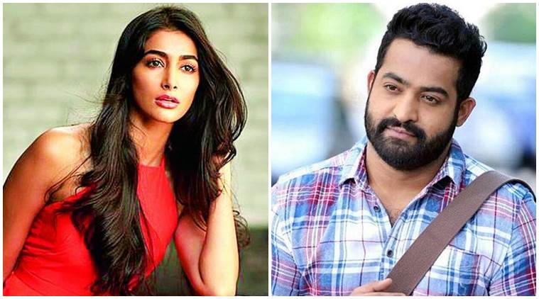 Pooja Hegde to romance Jr NTR in Trivikram’s directorial