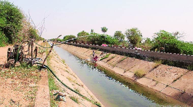 Gujarat: Farmers protest, demand release of Narmada water to save Rabi crops