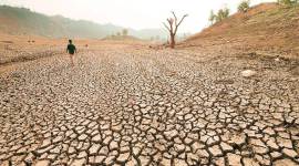 Rising... village land, temple, trees