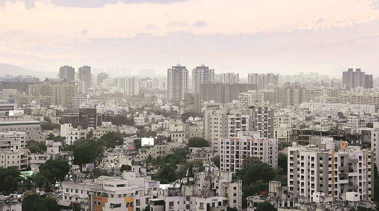Surat to convert creek into garden with 50,000 trees spread over 60 hectares