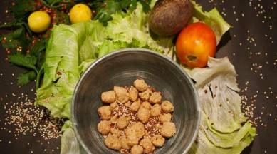 Soy-based formula, Soy-based formula reproductive system, girl reproductive system changes, indian express, indian express news