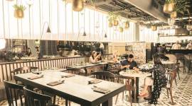 Small Plates, Big Flavour