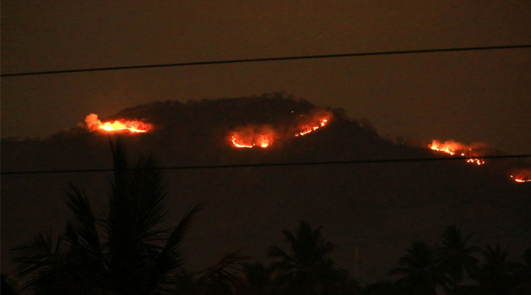 Suspected 'man-made' fire breaks out at Sanjay Gandhi National Park