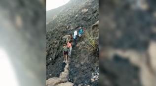 Theni Forest Fire, Kurangani district, Tamil Nadu forest fire death toll, Theni fire death toll, TN forest fire updates, Kurangani fire updates, Indian Express