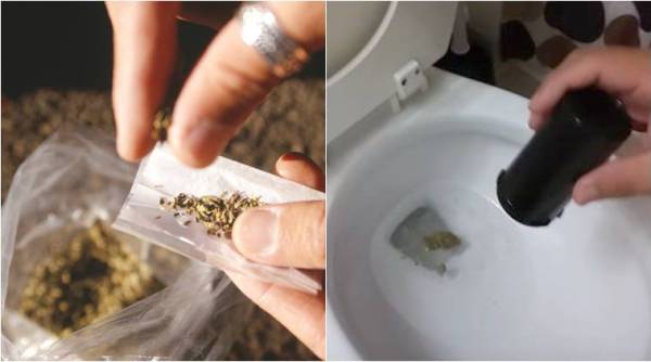 dad finds weed in school bag, dad throws weed in toilet, viral video, indian express, trending news