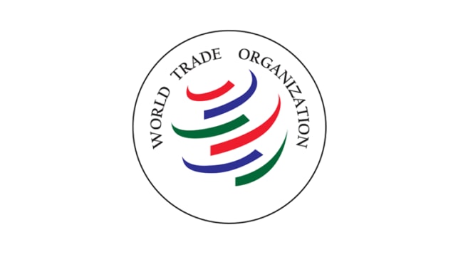 Why appeals are stuck at WTO, how India will be hit if process breaks down