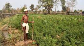 Maharashtra: Forest rights for dwellers in 55 critical wildlife habitats within three months