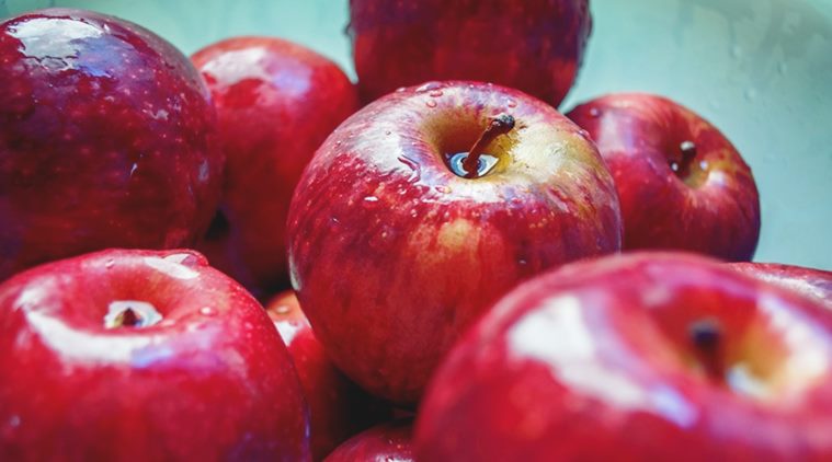 apples, apple crops, apple production, Himachal apples, Himachal Pradesh apples, India news, Indian Express