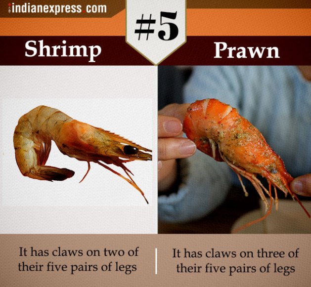 same thing, confusing term, two confusing terms, two similar terms, same thing different meaning, synonymous, two similar terms but different meaning, Indian express, tending news