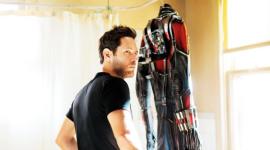 paul rudd as antman in the marvel movie