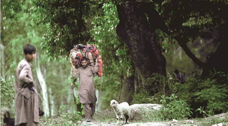 Kathua, Kathua case, Kathua gang rape and murder, Kathua charge sheet, Jammu and Kashmir, Bakarwal, Gujjar, Kathua news, Kashmire news, Indian Express