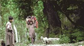 Kathua, Kathua case, Kathua gang rape and murder, Kathua charge sheet, Jammu and Kashmir, Bakarwal, Gujjar, Kathua news, Kashmire news, Indian Express