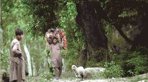 Behind Kathua case, larger issue of tribal rights in Jammu and Kashmir