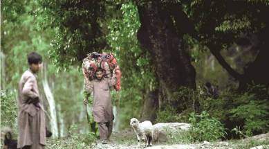 Kathua, Kathua case, Kathua gang rape and murder, Kathua charge sheet, Jammu and Kashmir, Bakarwal, Gujjar, Kathua news, Kashmire news, Indian Express