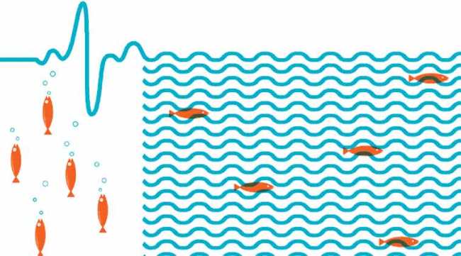 (Illustration: CR Sasikumar)