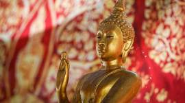 The group of Dalits will convert to Buddhism at an event on Sunday. (AP photo/Representational)