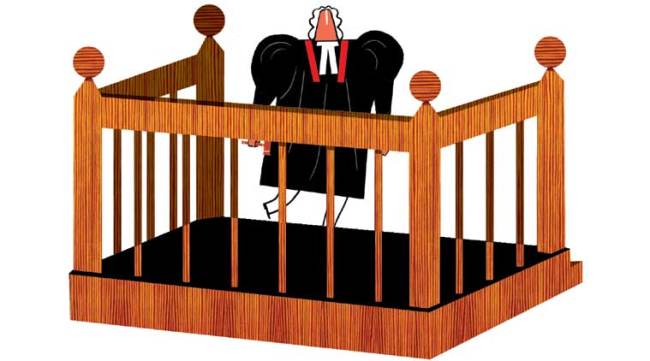 (Illustration: CR Sasikumar)