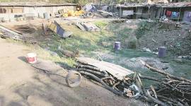 Sena leaders disagree over crematorium